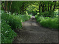 Farm access road in GU9 0AR