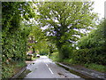 Bergholt Road, Bentley in IP9 2DW