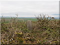 Ordnance Survey Trig Pillar S6389 in SA62 5PS