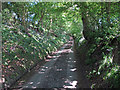 Tree Lined Road, Innham Hill, near Harrow Cross in CO9 3NL