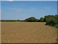 Arable land near Forry's Green in CO9 3RP
