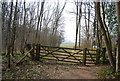 Gate into Godmersham Park in Downs North Ward