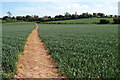 Footpath into Normanton in Ravenstone & Packington Ward