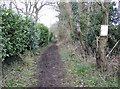 Bridleway at Cross Lanes in RG4 7UW