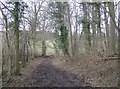 Bridleway north of Cross Lanes in RG4 7UW