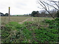 Looking W along footpath back towards Northbourne in CT14 0AP