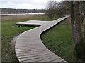 Boardwalk on the 'riverside walk', Burnt Oak Copse, Beaulieu Estate in SO42 7XB