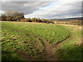 Paths across the field, off Steep Lane, Bradley, Huddersfield in HD2 1SA