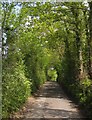 Lane to South Mill Farm in EX14 9EN