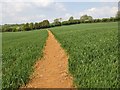 Footpath to Shotteswell in OX17 1JE