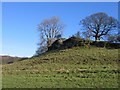 Limestone Crag near Pen-y-Bryn Farm in LL11 3AH