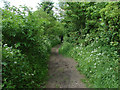 Muddy footpath in RG10 9YE