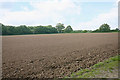 Ploughed field south-west of Canewdon in SS4 3RH
