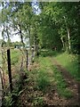 Path along the boundary of Oakhurst Farm in RH14 0PN