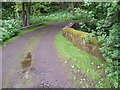 Old bridge near Barry Mill in DD7 7RP