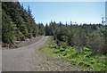 Track in Glen Brittle Forest in IV47 8SQ
