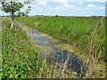 Drainage ditch in Share Marsh, Carlton Colville in NR33 8BP