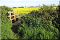Footbridge on the path to Astcote in Pattishall and Astcote