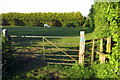 Footpath to Gayton through the paddock in NN12 8LY