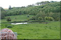 Ponds and a rack of hay in the valley of the Black Springs in Thoresway