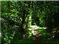 Southbound bridleway, east of Carrols in GU31 5BN