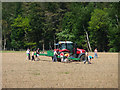Harvesting asparagus in GU31 5BN