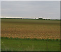 Farmland near Rowston in Rowston