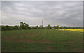 Crop field, Beckingham in DN10 4PW