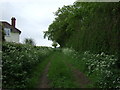 Farm track off Main Road in PE23 5EE