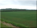 Farmland, Spilsby in PE23 5AA