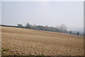 Chalky field near Hurst Farm in Downs North Ward