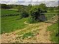 Gate above the Corry Brook in EX14 9DB