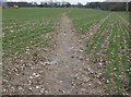Footpath to Kidmore End in RG4 9BG