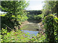 Duck pond at winterbourne in BS36 1SF