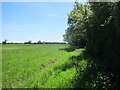 Public footpath and field edge boundary, the Marle Hills in BS37 9TU