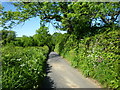 Lane between Silkhay and Furleigh Farm in DT6 5JF