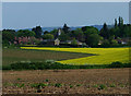 Looking towards Rogate in GU31 5BN