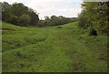 Path near Frogwell Farm in EX13 7JL