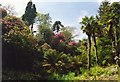 Lost Gardens of Heligan in PL26 6EH