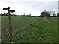 Footpath Junction in Hoxne & Worlingworth Ward