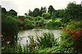 Pond at Hillier Gardens,Hants in SO51 0PP