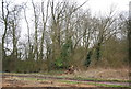 Woodland by the Stort Navigation in CM19 5JA