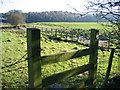 Stile and Spring on the Clwydian Way in CH7 4QU