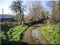 Track and Footpath near Allt Gymbyd farm in CH7 4QU