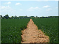 Bridleway across wheat field in CM17 0RF