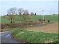 Winding Road, Hedge and Fields in NR16 1BJ