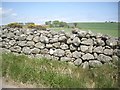 Dry-stone wall near Pityot in AB39 3RS