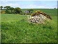 A conservation stone wall between fields in AB39 3RS