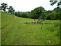 Bridleway between Melplash Court and Slape Manor in DT6 5SH
