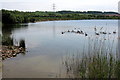 Disused pit now used for windsurfing and raising geese in MK43 0SE